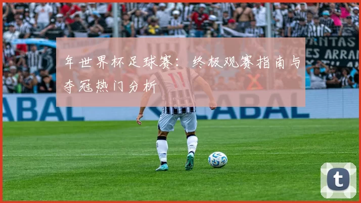 年世界杯足球赛:终极观赛指南与夺冠热门分析