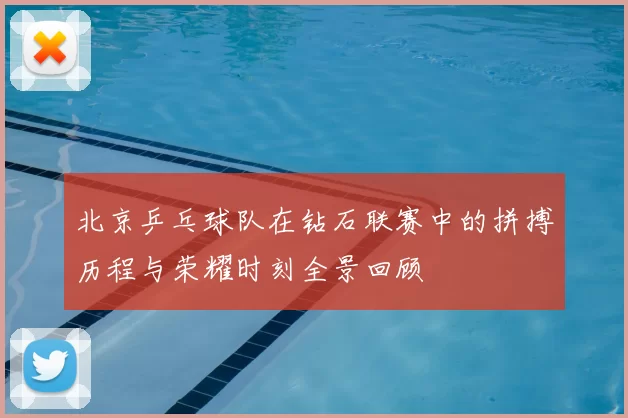 北京乒乓球队在钻石联赛中的拼搏历程与荣耀时刻全景回顾