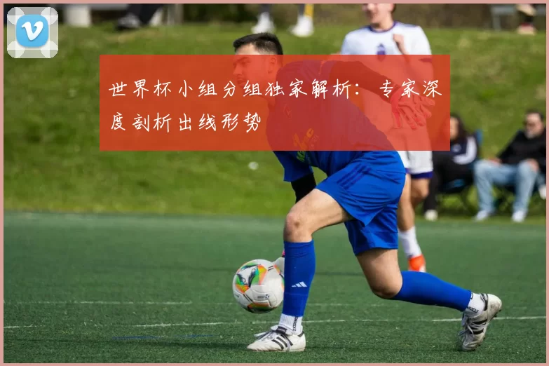 世界杯小组分组独家解析：专家深度剖析出线形势