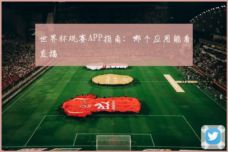 世界杯观赛APP指南：哪个应用能看直播