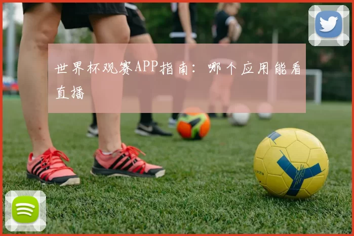世界杯观赛APP指南：哪个应用能看直播