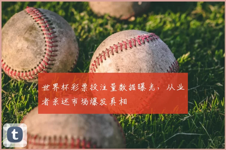 世界杯彩票投注量数据曝光,从业者亲述市场爆发真相