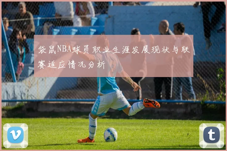 袋鼠NBA球员职业生涯发展现状与联赛适应情况分析