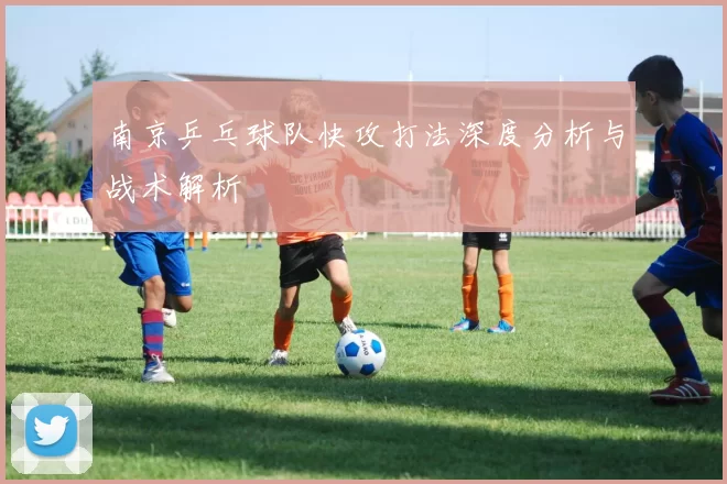 南京乒乓球队快攻打法深度分析与战术解析