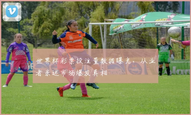 世界杯彩票投注量数据曝光,从业者亲述市场爆发真相