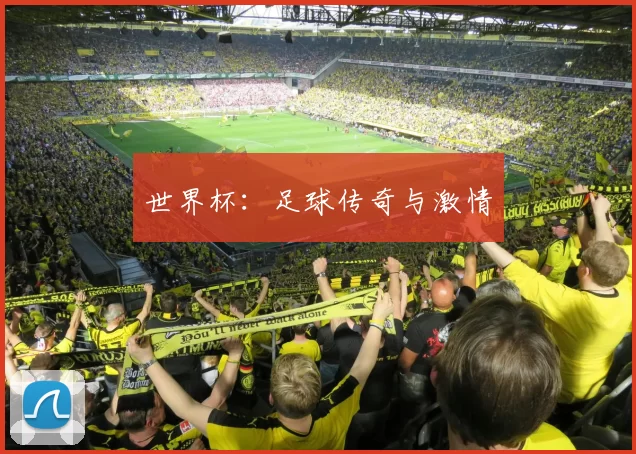 世界杯：足球传奇与激情