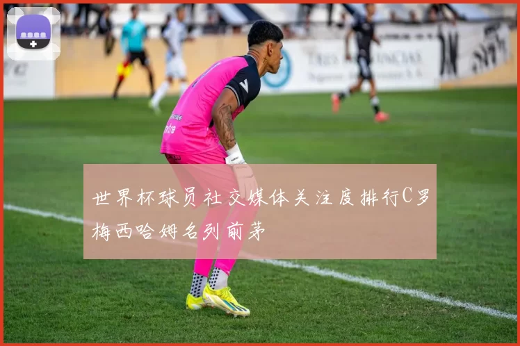 世界杯球员社交媒体关注度排行C罗梅西哈姆名列前茅