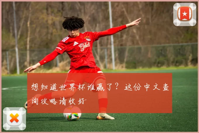 想知道世界杯谁赢了?这份中文查询攻略请收好