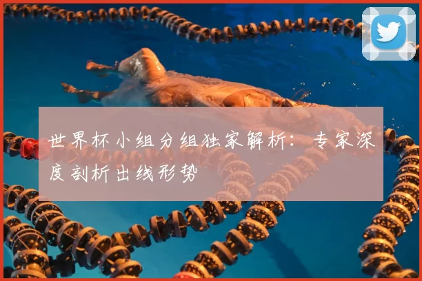 世界杯小组分组独家解析:专家深度剖析出线形势