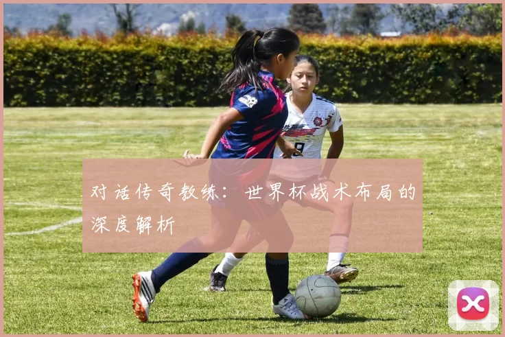对话传奇教练:世界杯战术布局的深度解析