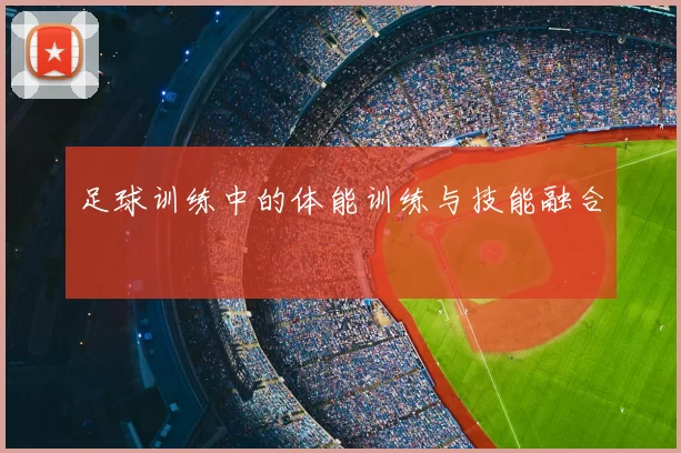 足球训练中的体能训练与技能融合