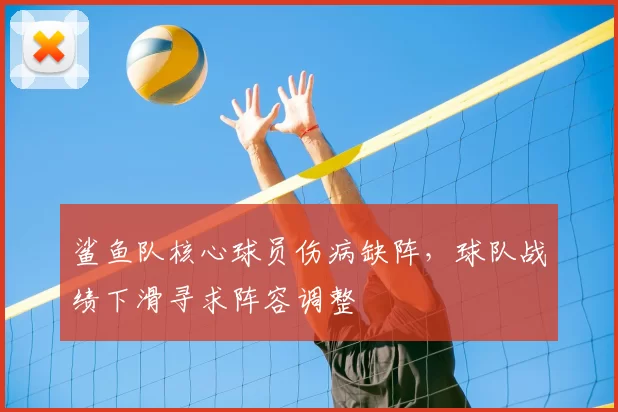 鲨鱼队核心球员伤病缺阵,球队战绩下滑寻求阵容调整