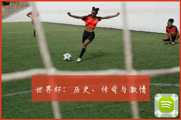 世界杯:历史、传奇与激情