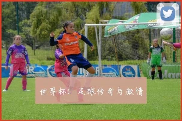 世界杯：足球传奇与激情
