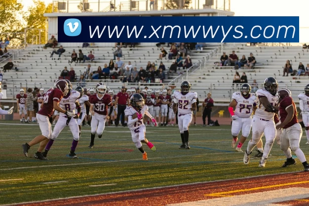 华体会体育发展历程